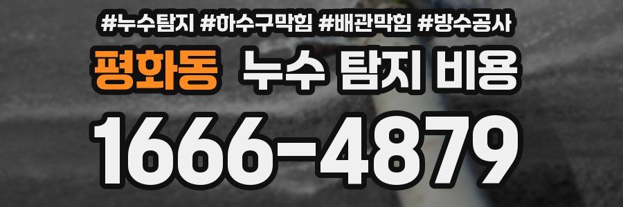 평화동 누수 탐지 비용