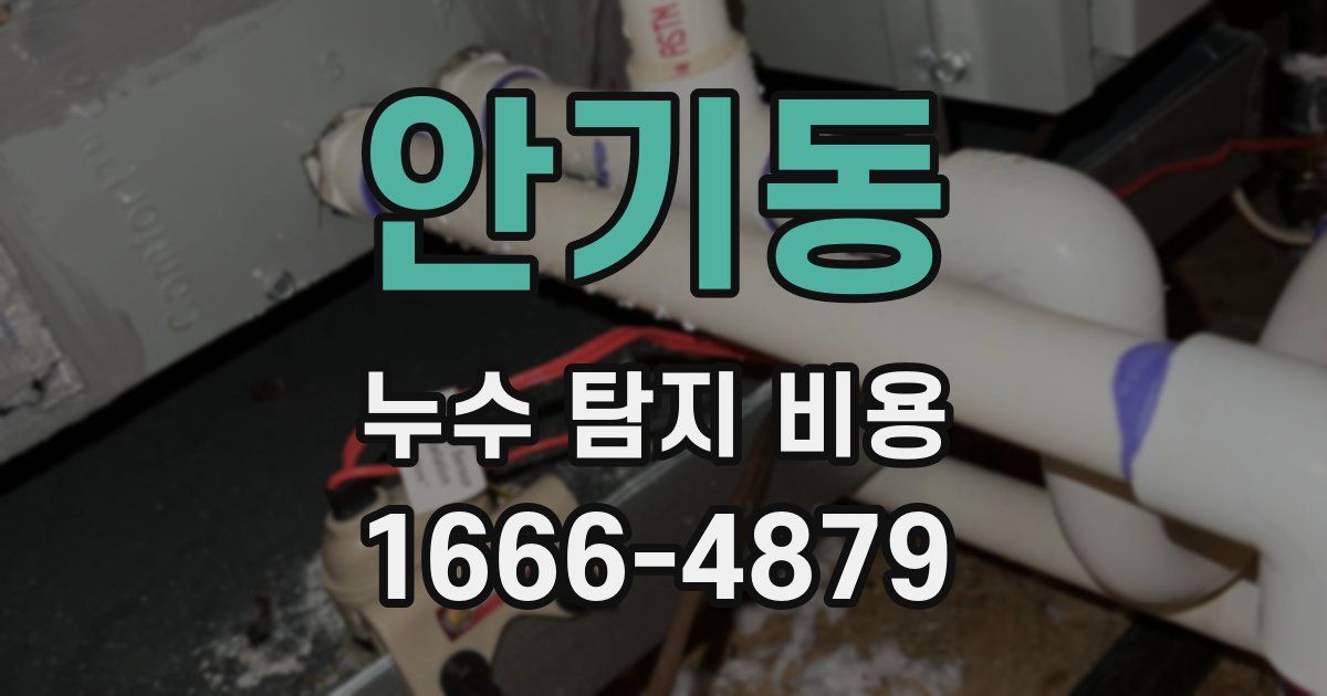안기동 누수 탐지 비용