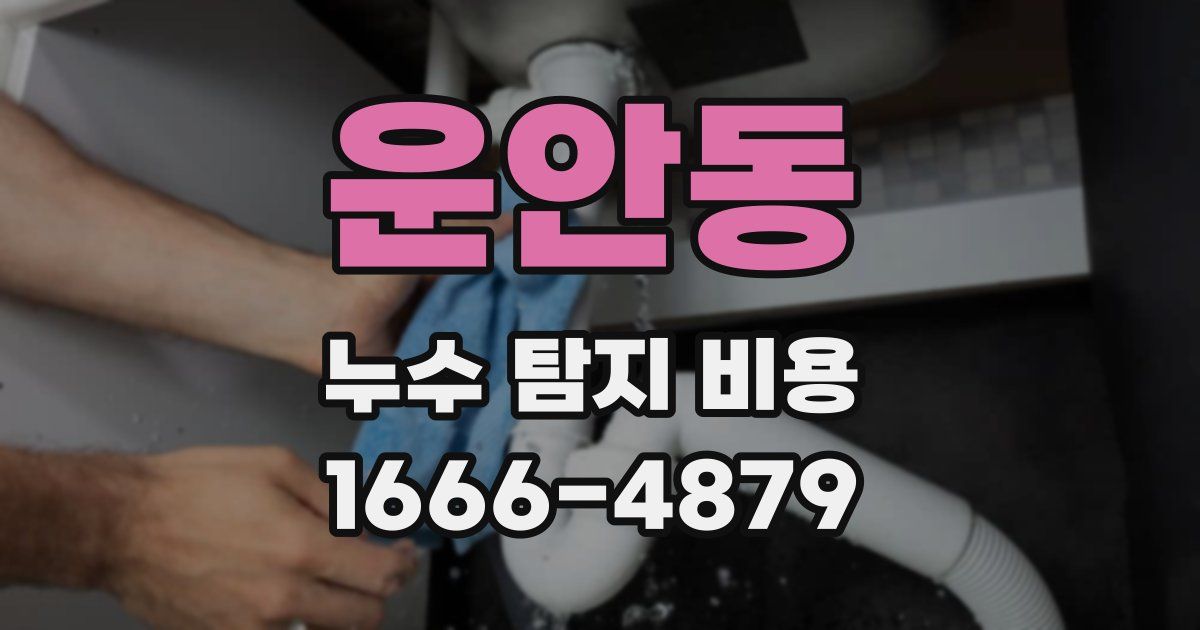 운안동 누수 탐지 비용