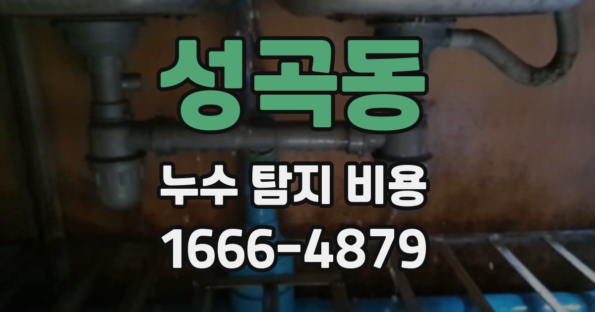 성곡동 누수 탐지 비용