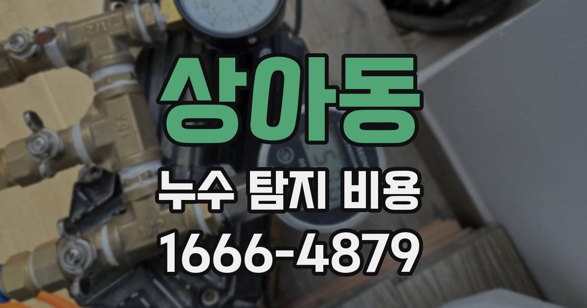 상아동 누수 탐지 비용