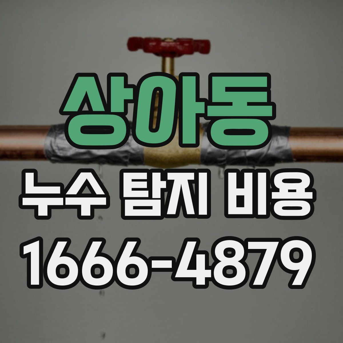 상아동 누수 탐지 비용