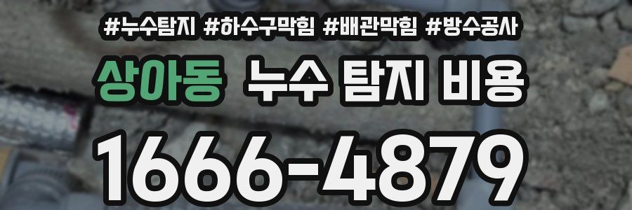 상아동 누수 탐지 비용