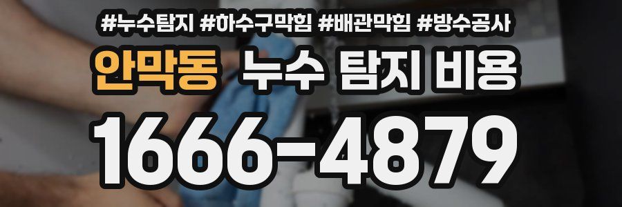 안막동 누수 탐지 비용