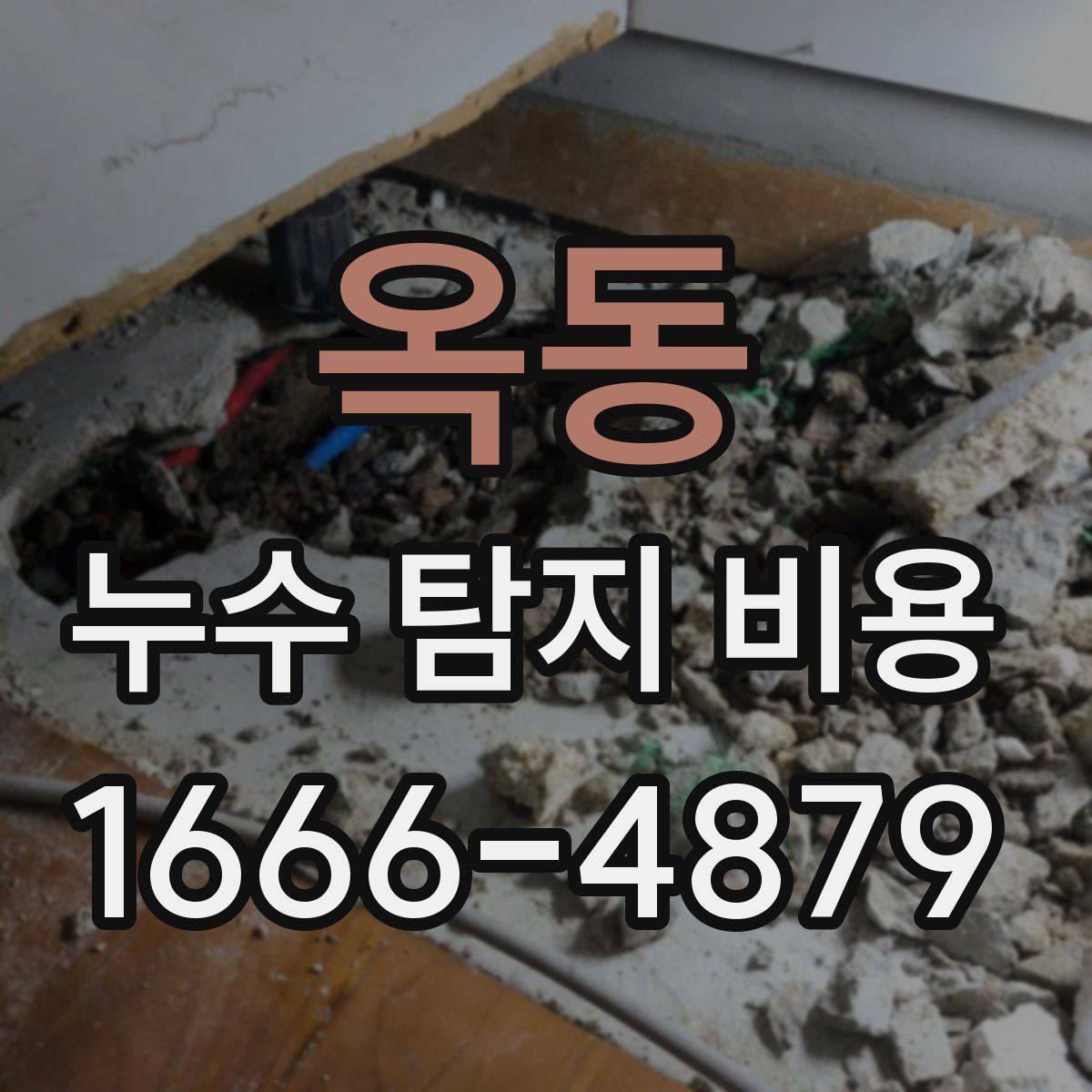 옥동 누수 탐지 비용