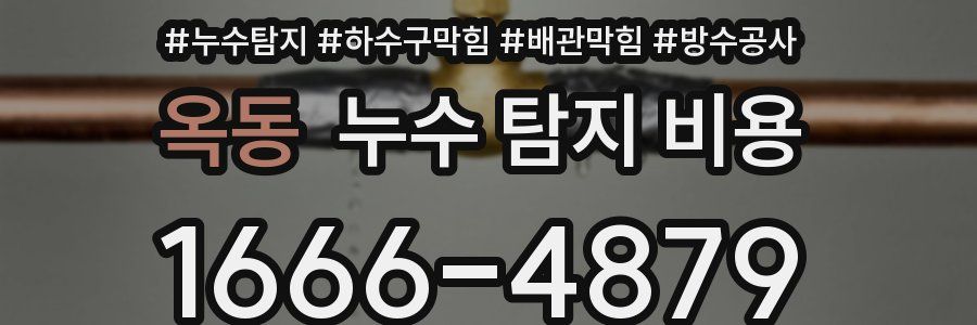 옥동 누수 탐지 비용