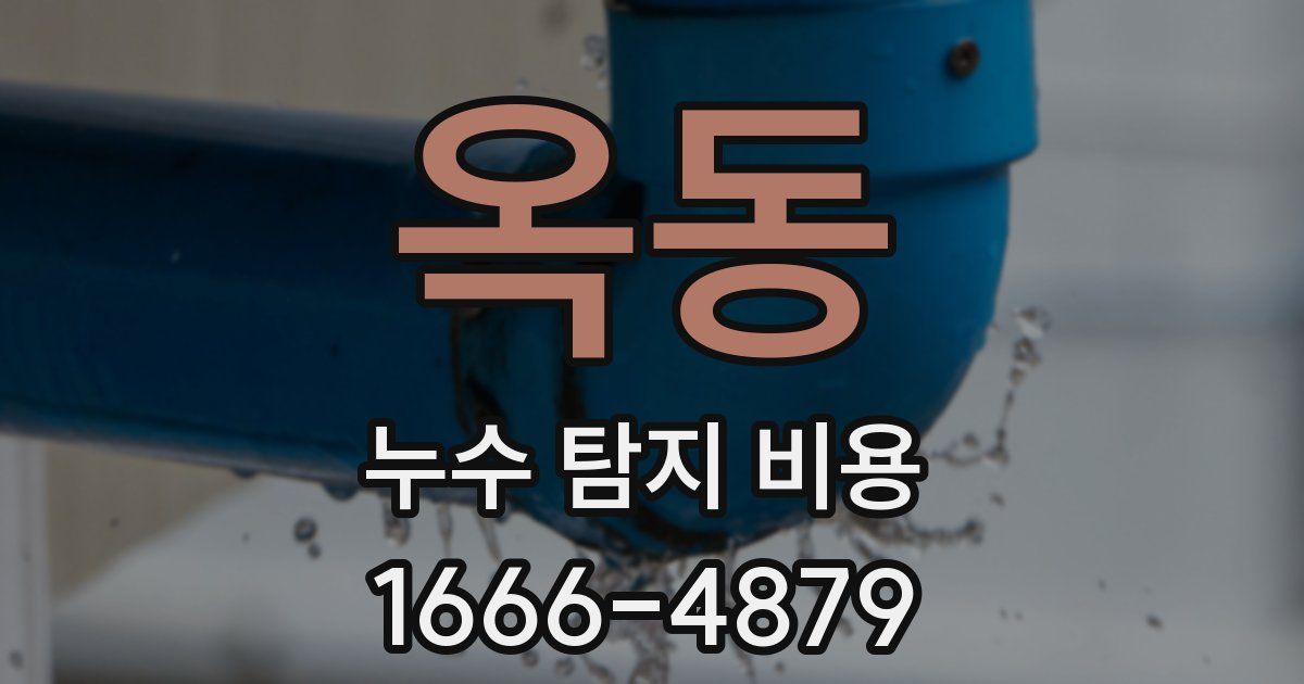 옥동 누수 탐지 비용