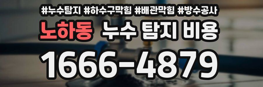 노하동 누수 탐지 비용