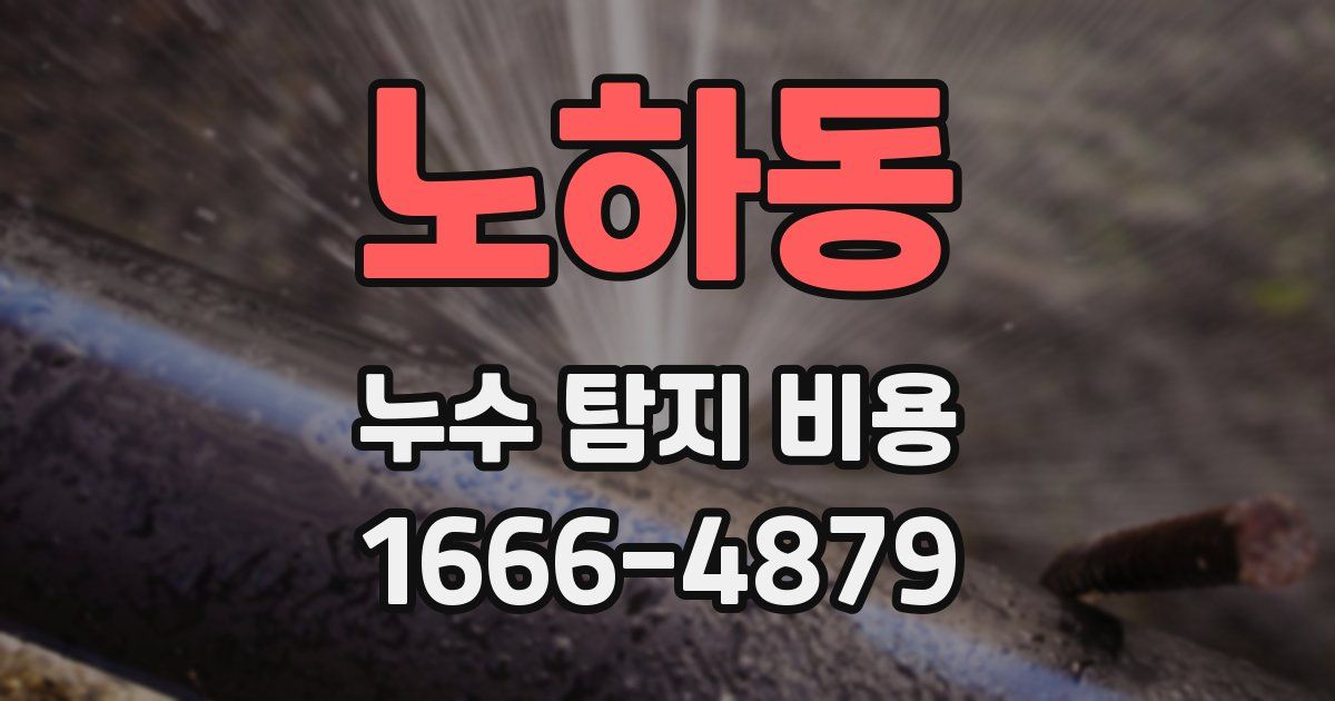 노하동 누수 탐지 비용