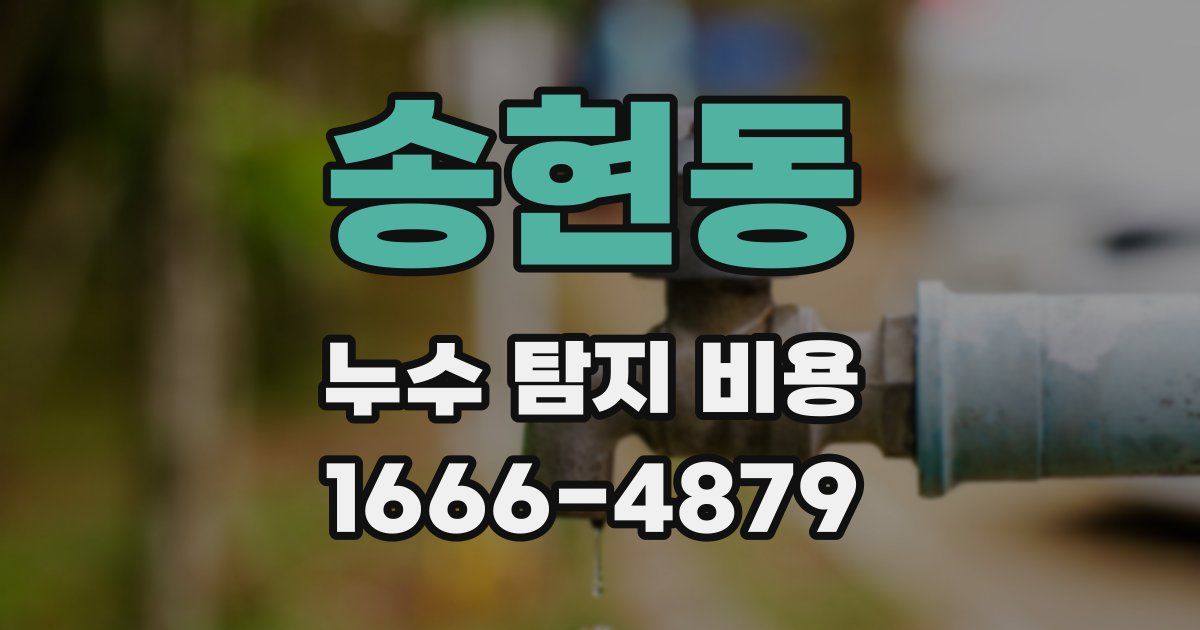 송현동 누수 탐지 비용