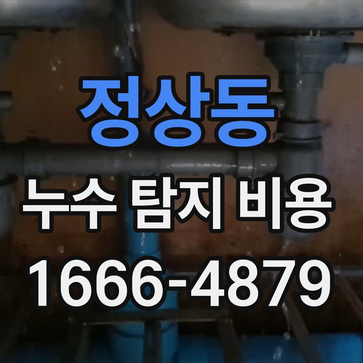 정상동 누수 탐지 비용