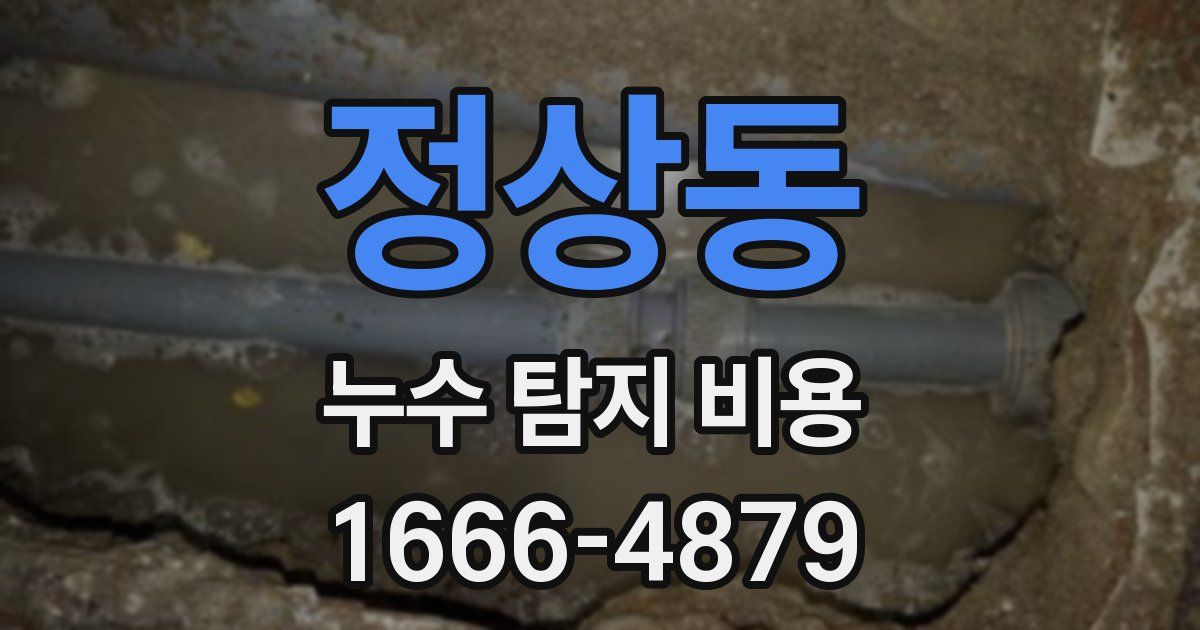 정상동 누수 탐지 비용