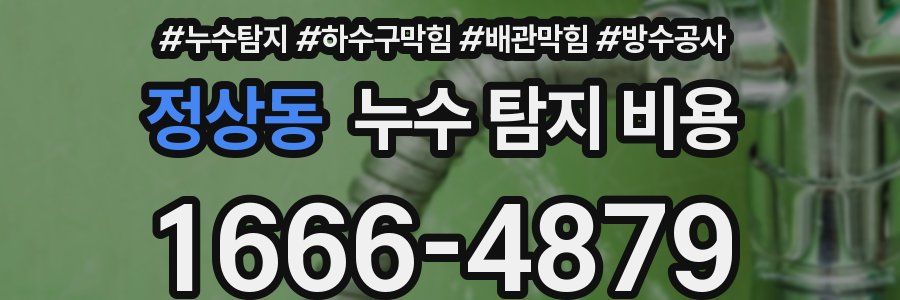 정상동 누수 탐지 비용