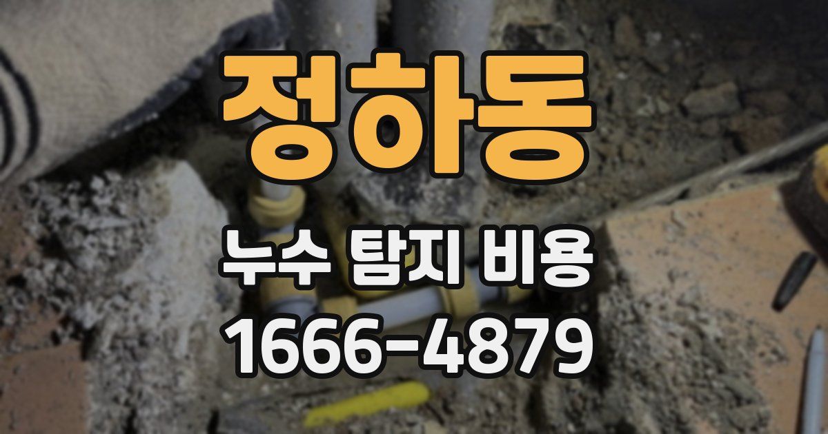 정하동 누수 탐지 비용