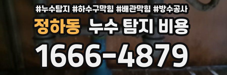 정하동 누수 탐지 비용