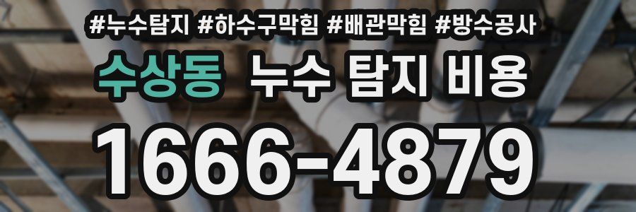 수상동 누수 탐지 비용