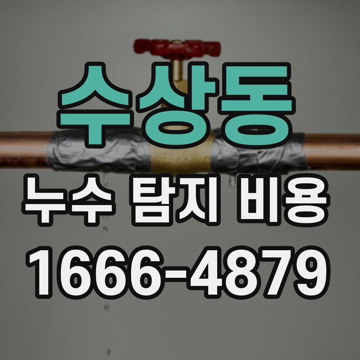 수상동 누수 탐지 비용