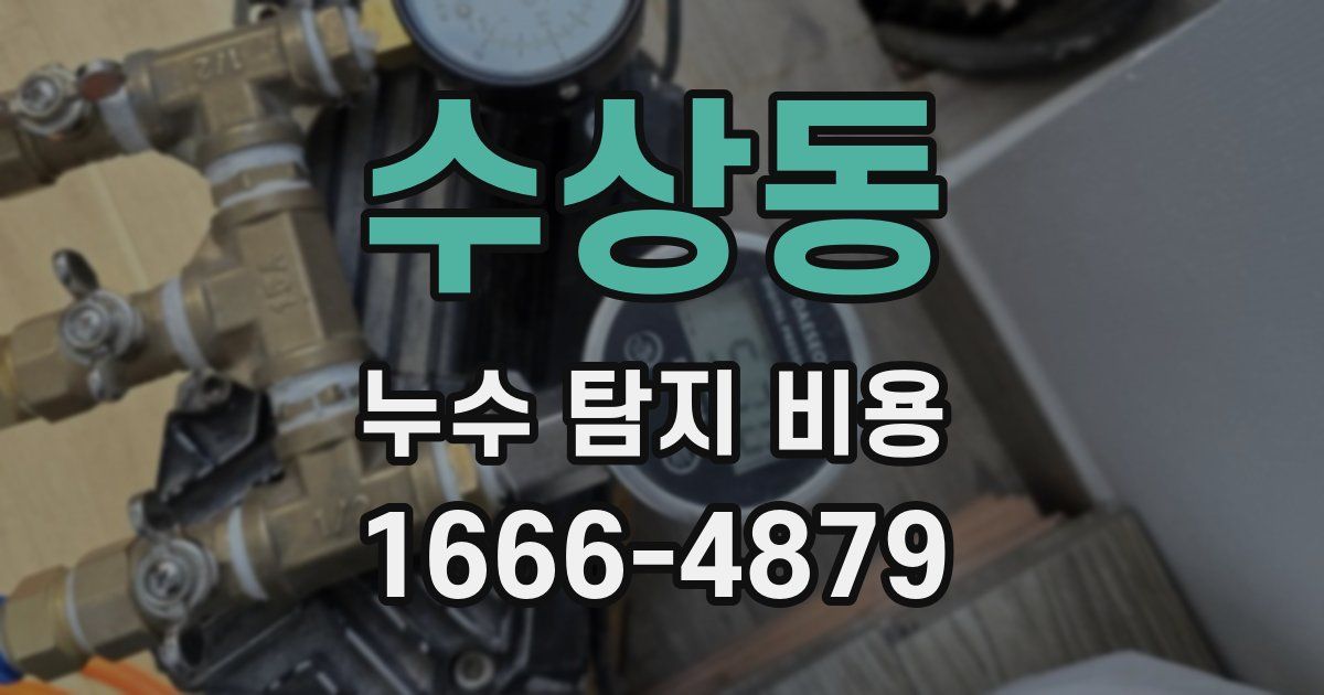 수상동 누수 탐지 비용