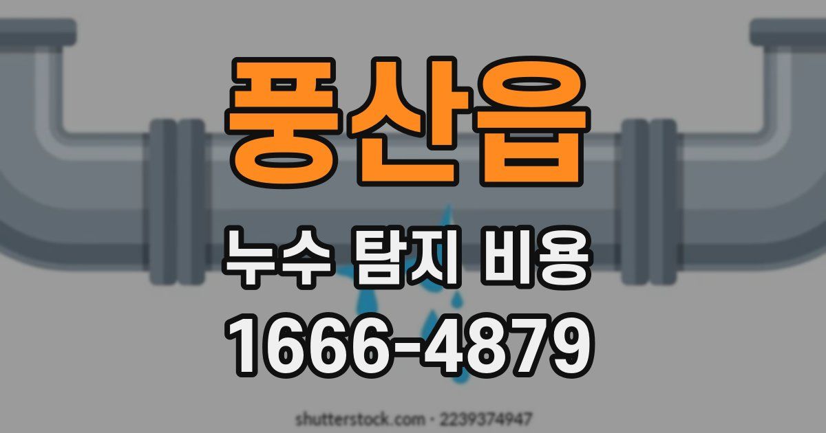 풍산읍 누수 탐지 비용