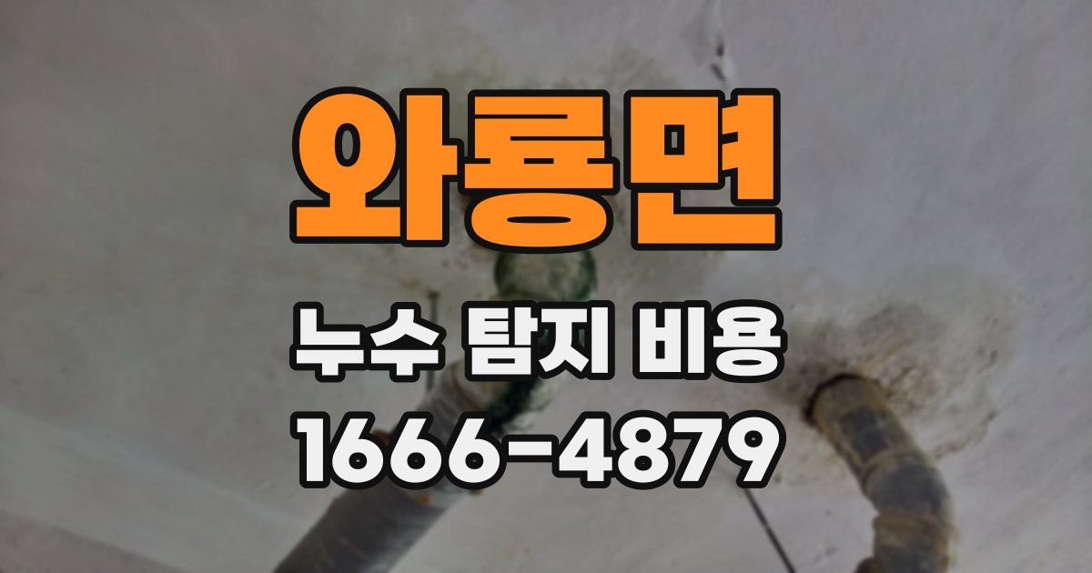 와룡면 누수 탐지 비용