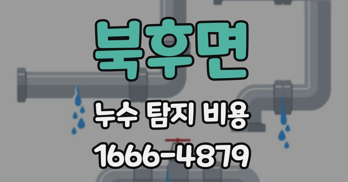 북후면 누수 탐지 비용