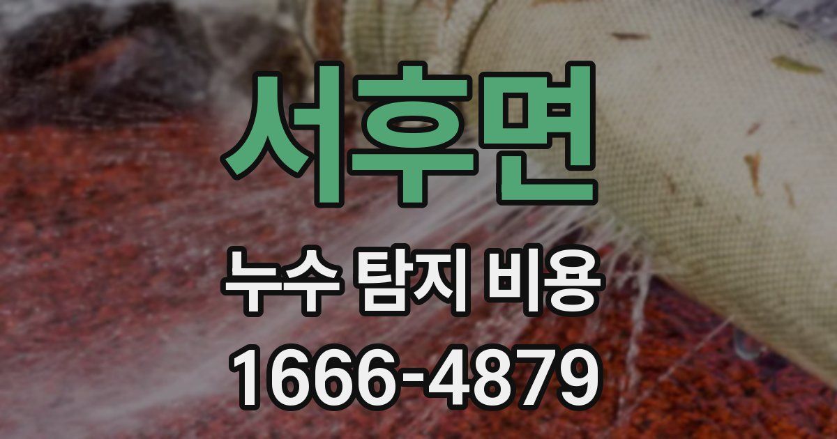 서후면 누수 탐지 비용