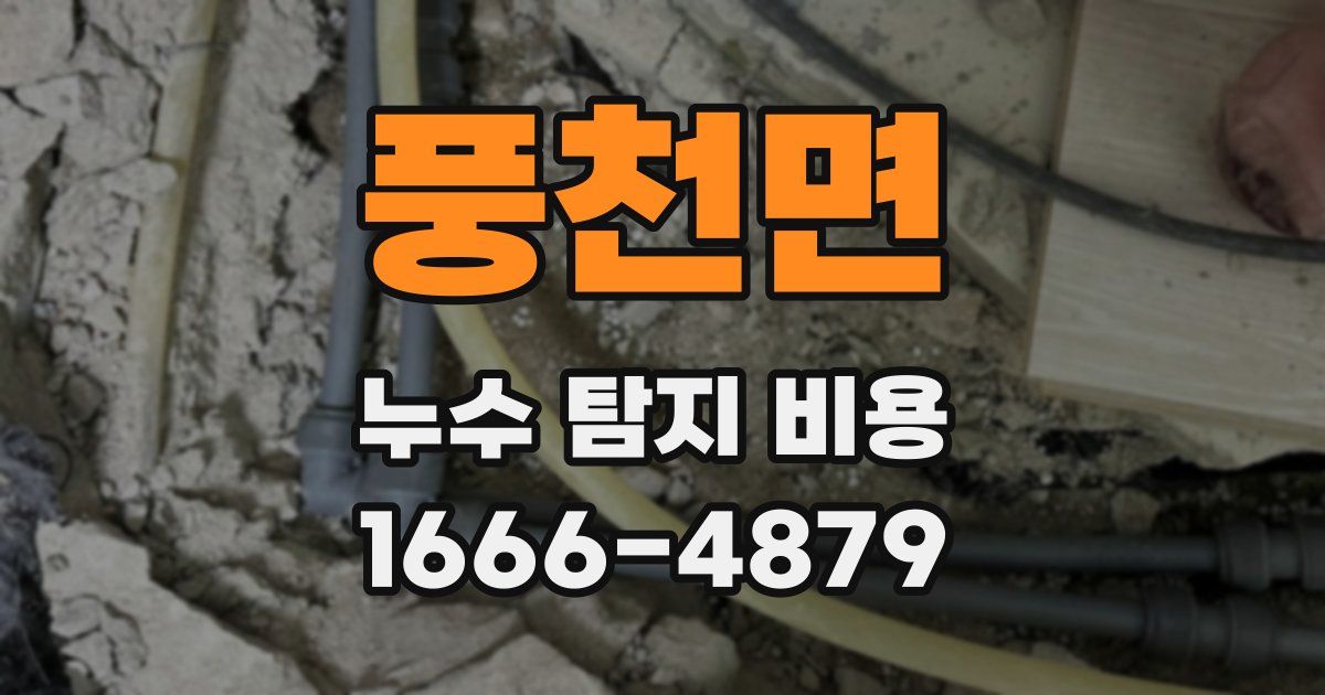 풍천면 누수 탐지 비용
