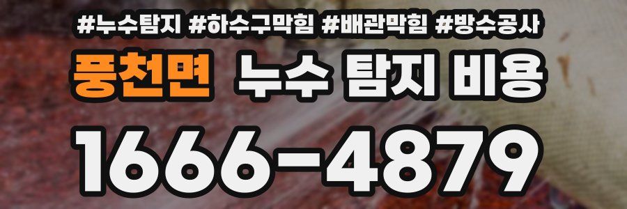 풍천면 누수 탐지 비용