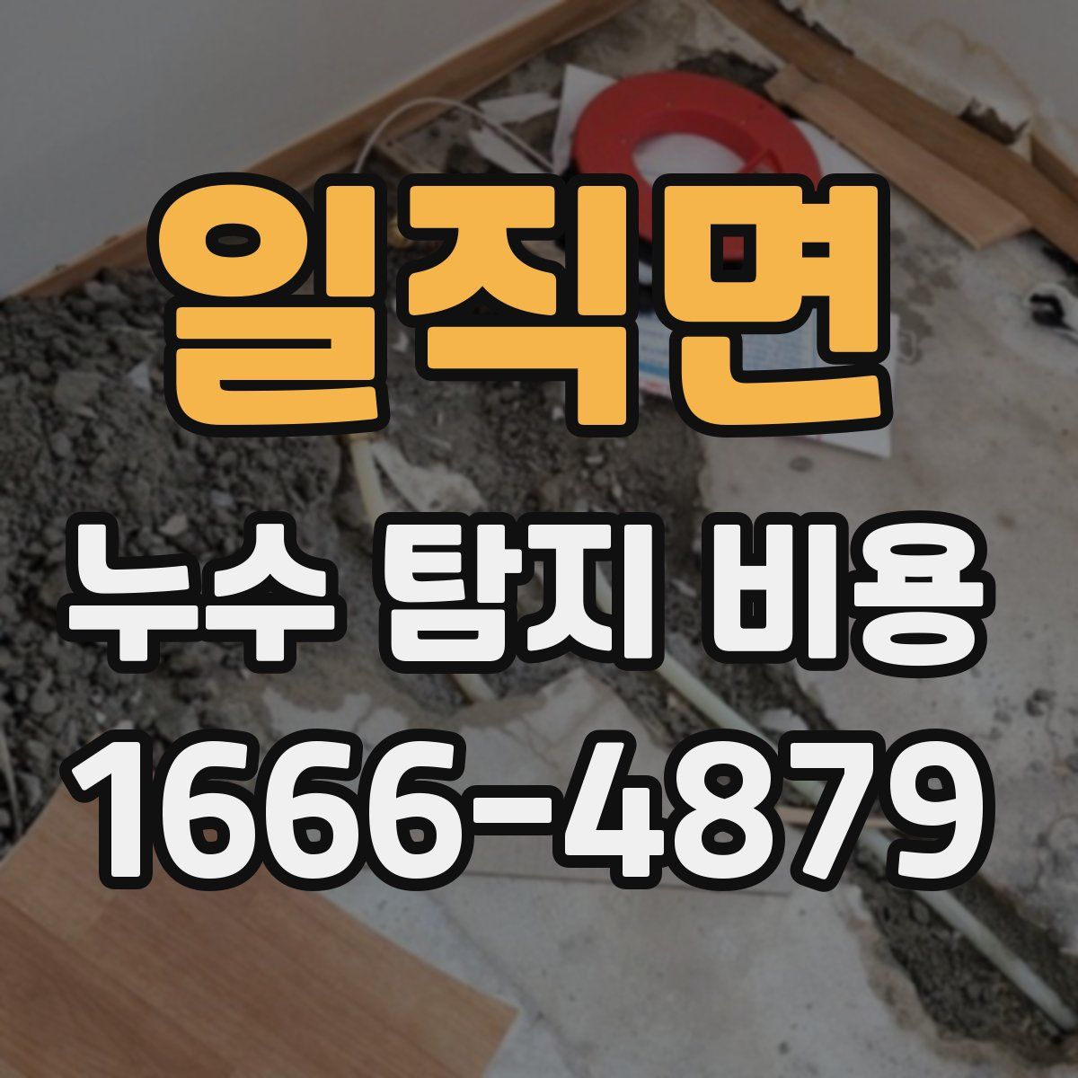 일직면 누수 탐지 비용