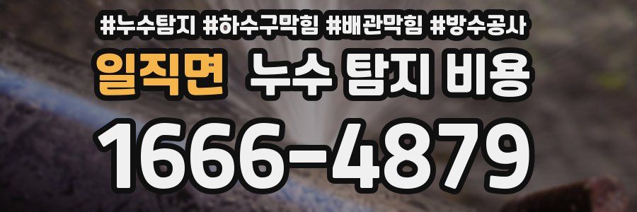 일직면 누수 탐지 비용