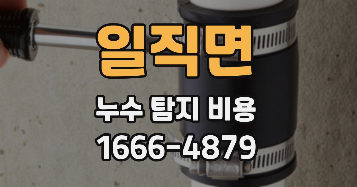 일직면 누수 탐지 비용