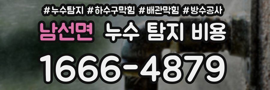 남선면 누수 탐지 비용