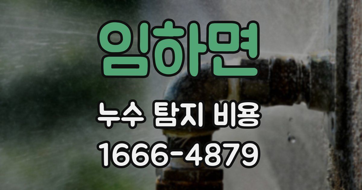 임하면 누수 탐지 비용