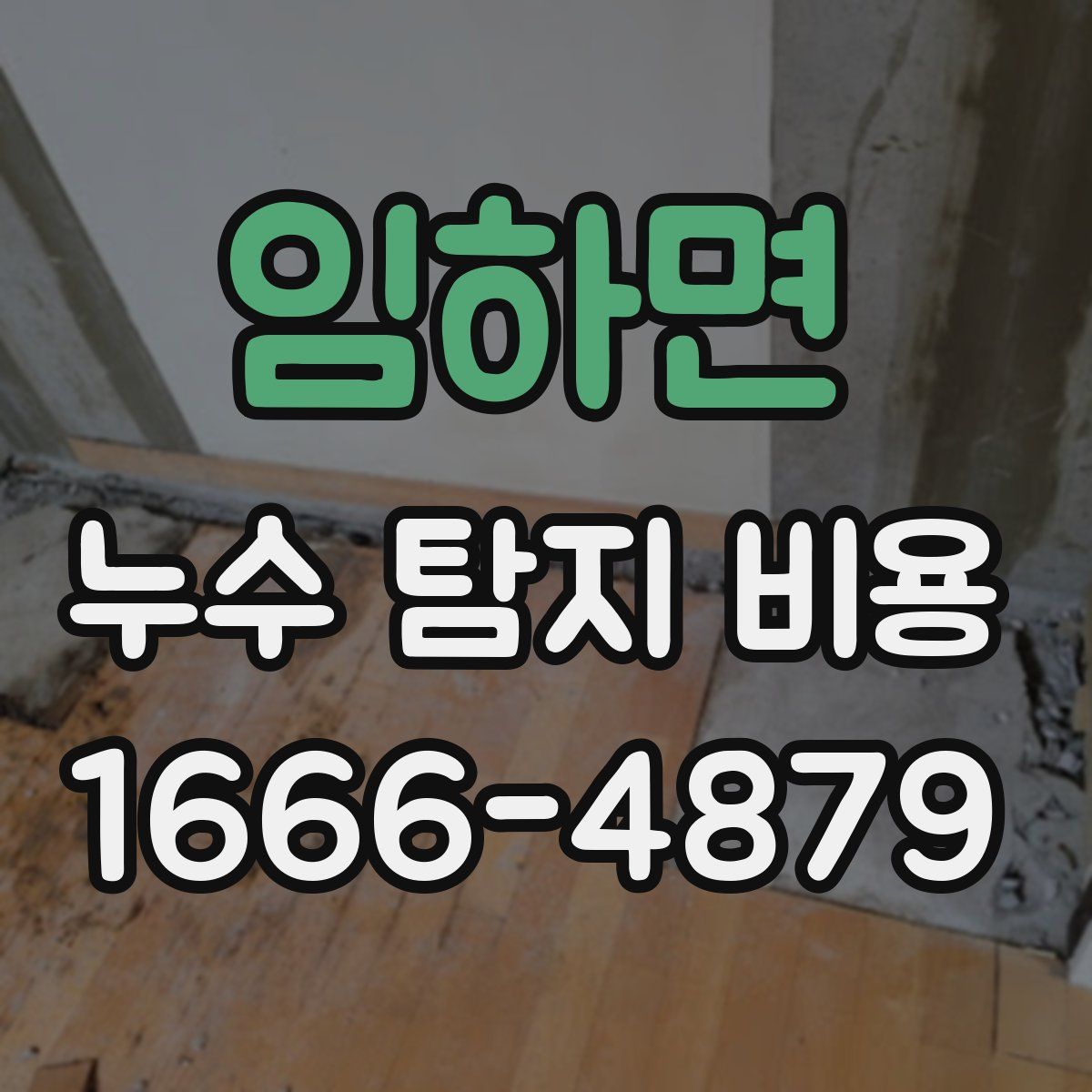 임하면 누수 탐지 비용