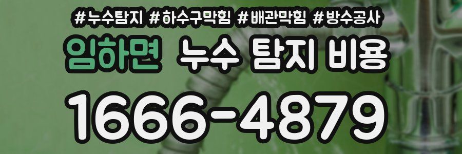 임하면 누수 탐지 비용
