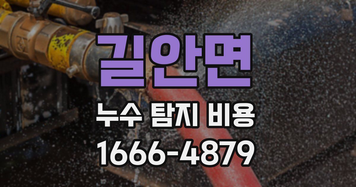 길안면 누수 탐지 비용