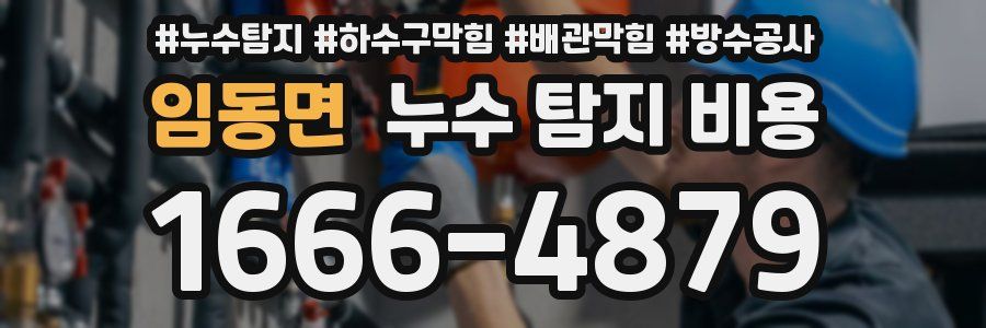 임동면 누수 탐지 비용
