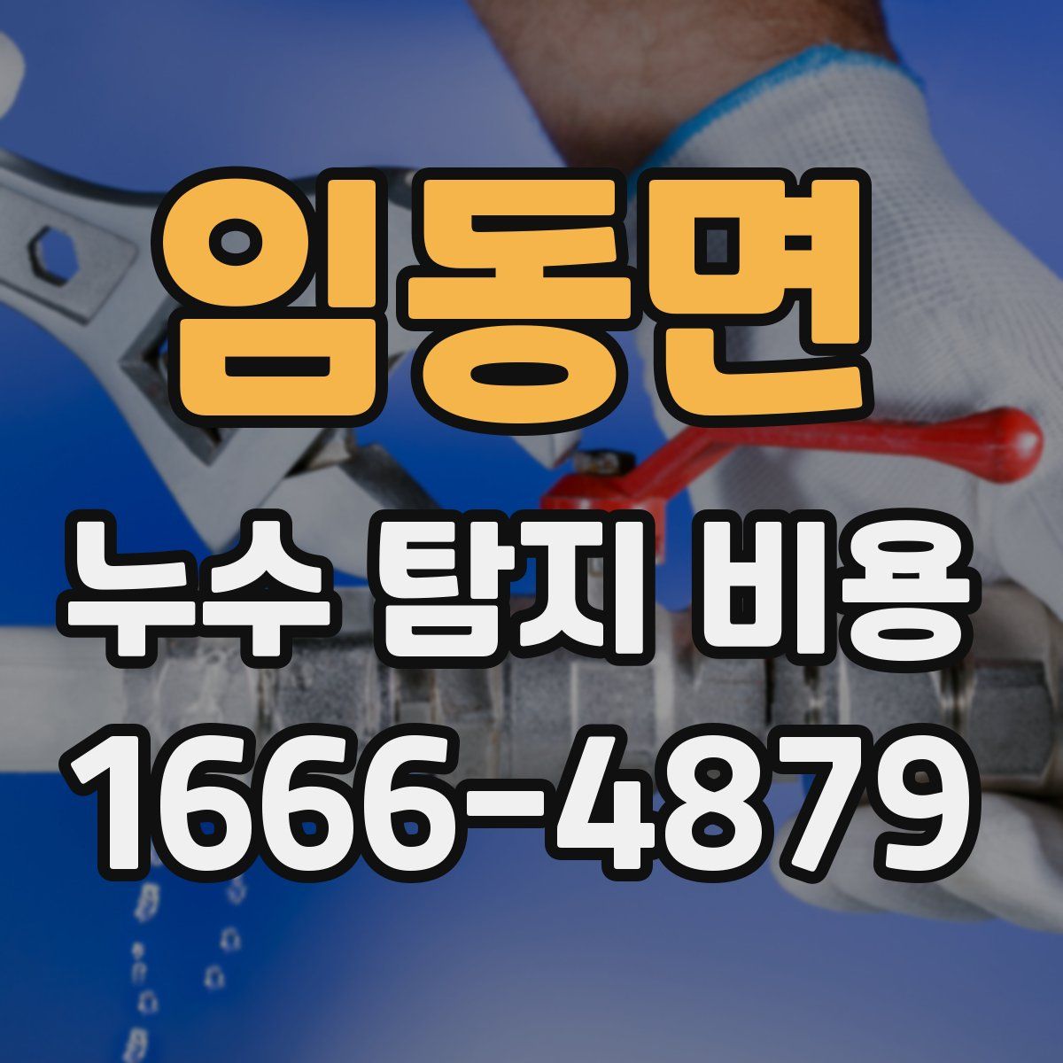 임동면 누수 탐지 비용