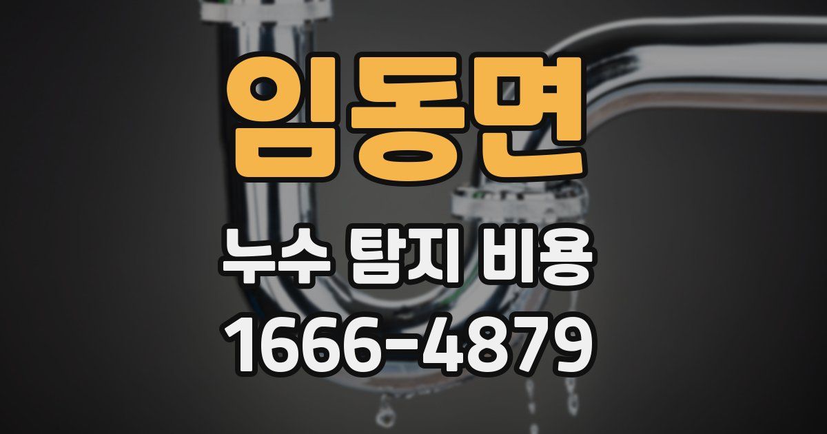 임동면 누수 탐지 비용