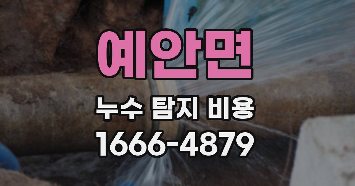 예안면 누수 탐지 비용