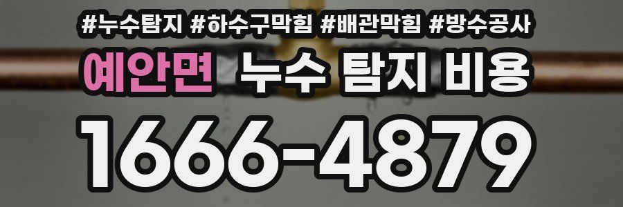 예안면 누수 탐지 비용