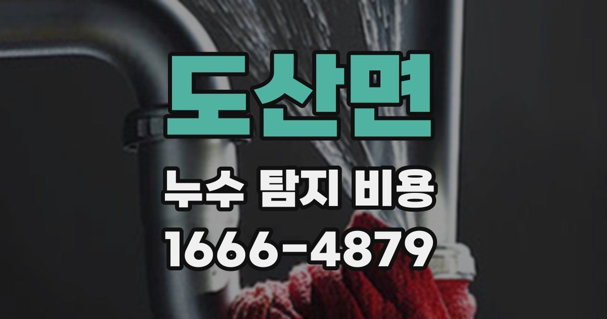 도산면 누수 탐지 비용