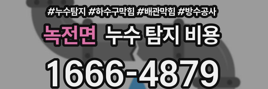 녹전면 누수 탐지 비용