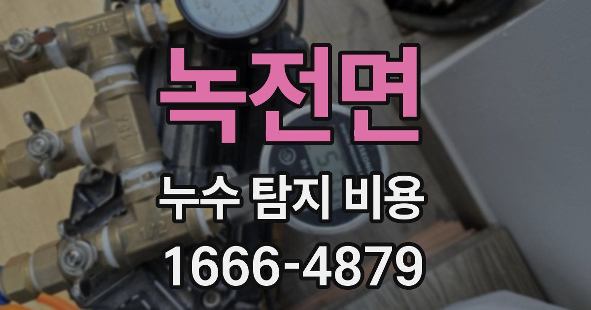 녹전면 누수 탐지 비용