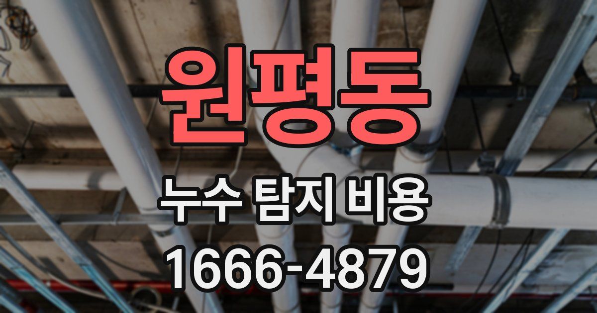 원평동 누수 탐지 비용