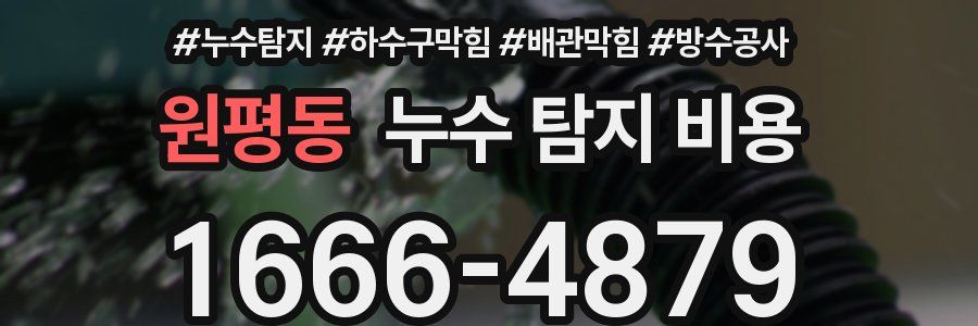 원평동 누수 탐지 비용