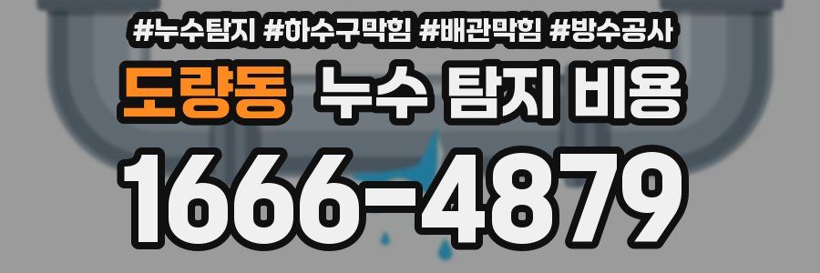 도량동 누수 탐지 비용