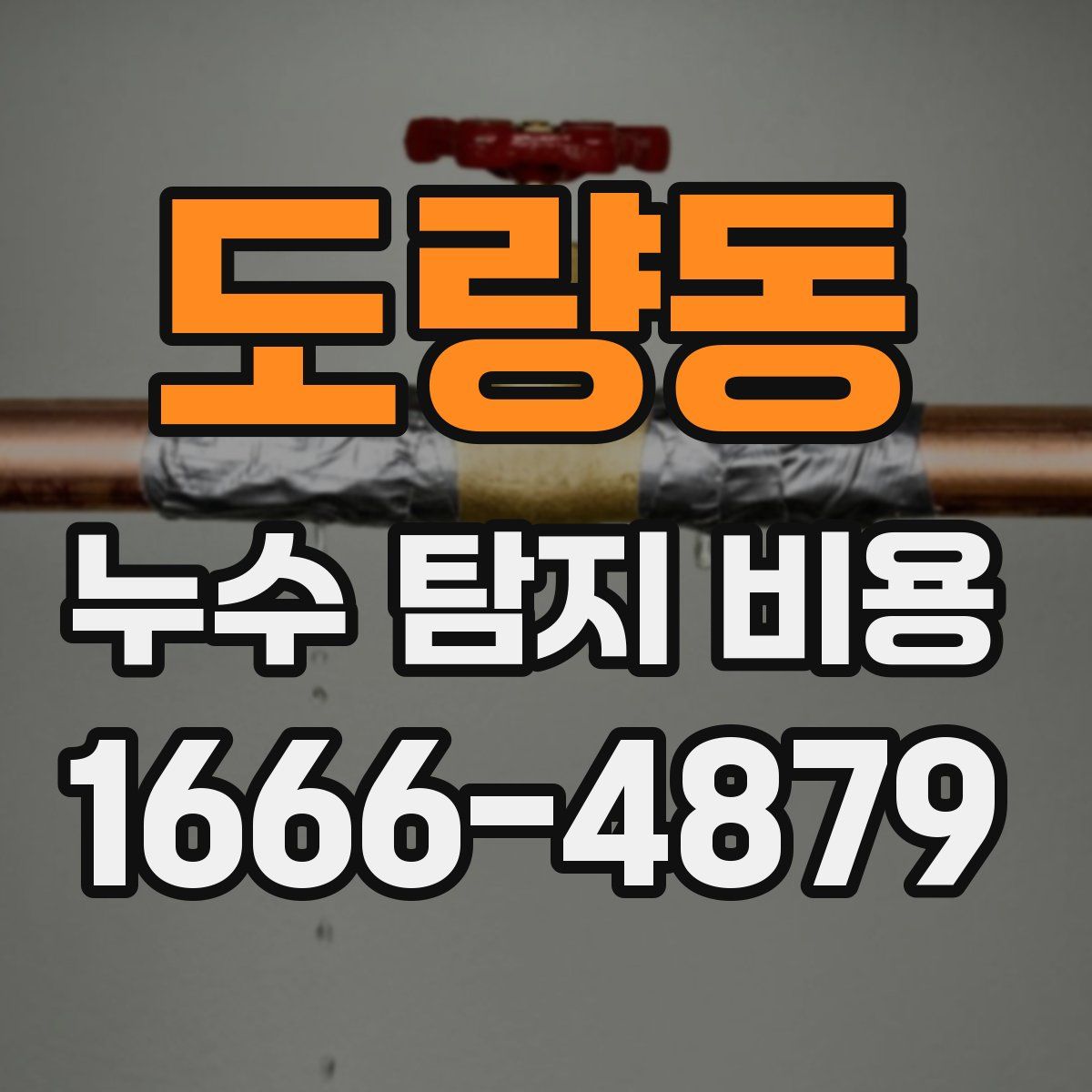 도량동 누수 탐지 비용