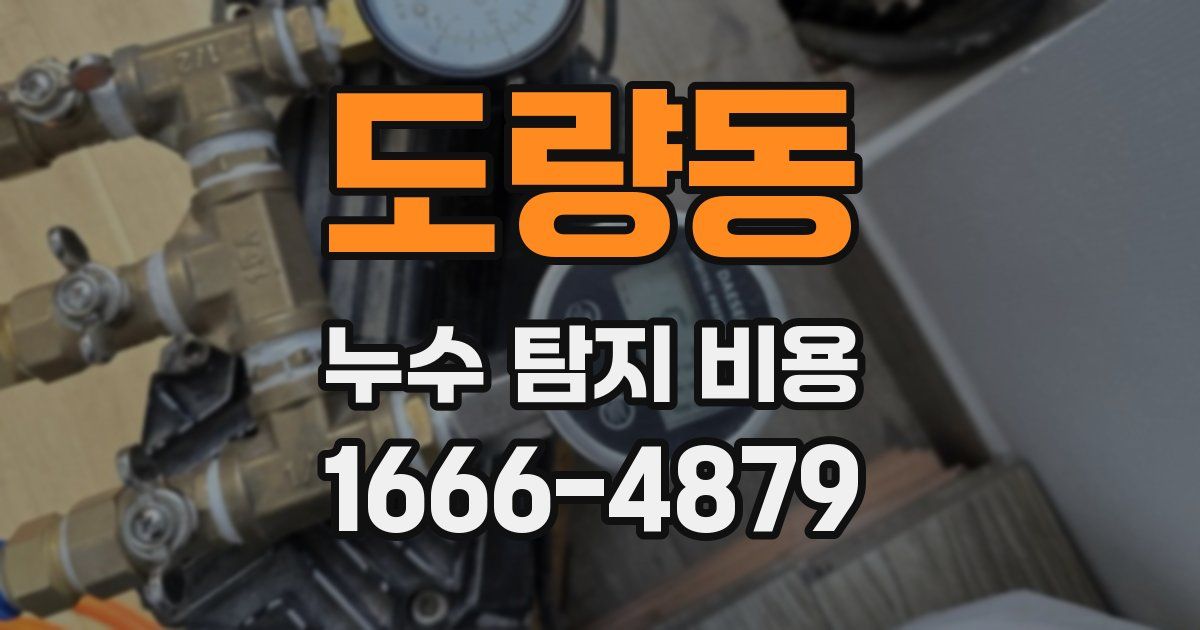 도량동 누수 탐지 비용