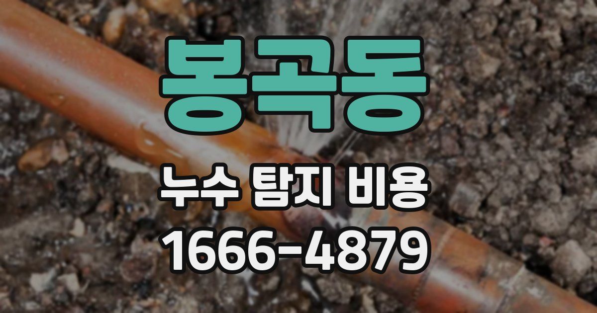 봉곡동 누수 탐지 비용